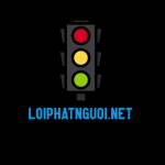loiphatnguoi