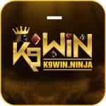 k9win ninjaa