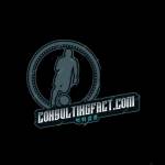 consultingfactcom com