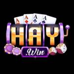 HAYWIN